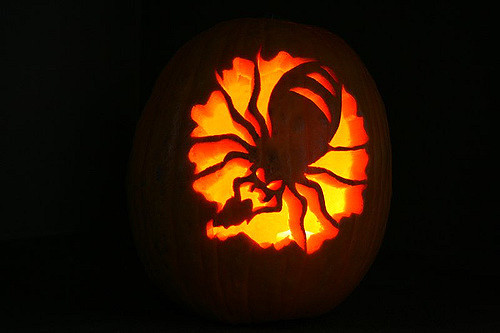 Carving spider pumpkin