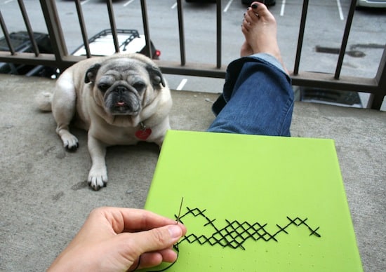 Stitching a canvas with black embroidery thread sitting on a porch with a pug dog