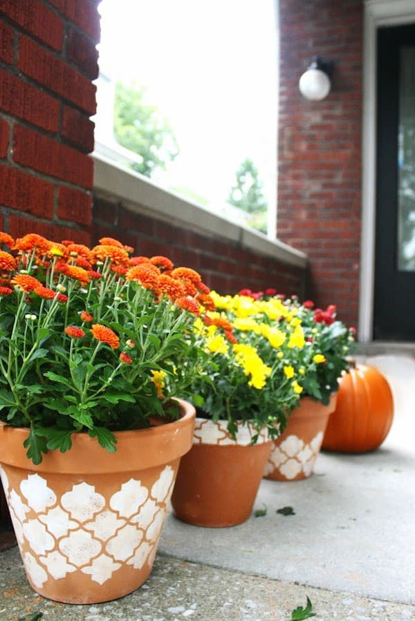 stencil terracotta pots