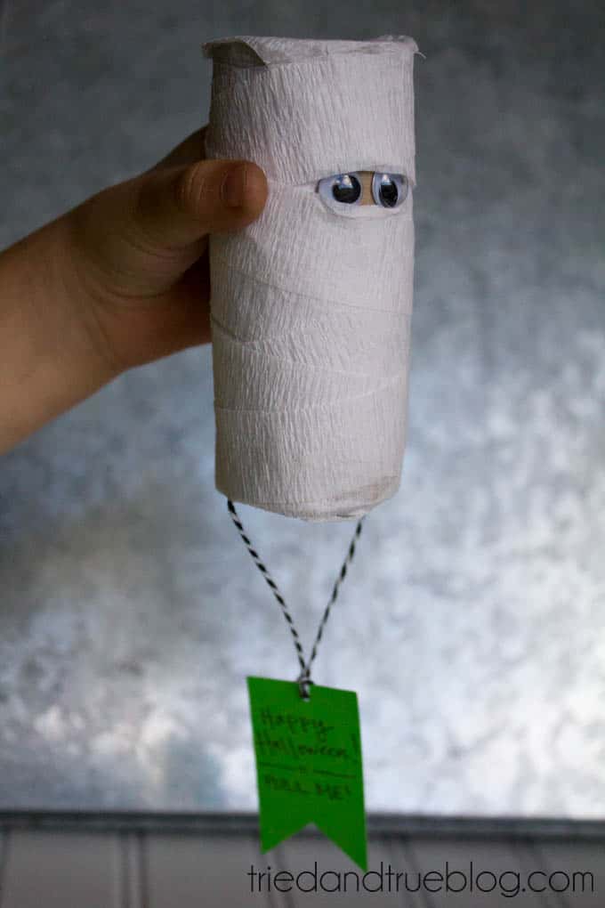 Use a toilet paper roll and some crepe paper to make the cutest