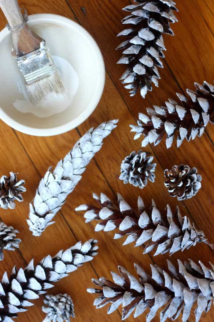 Bowl of white chalk paint and painted white pinecones