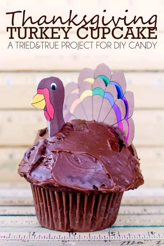 DIY turkey cake toppers for the holidays