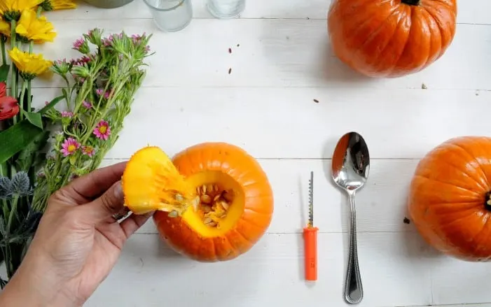 Hand removing the stem piece of a small pumpkin