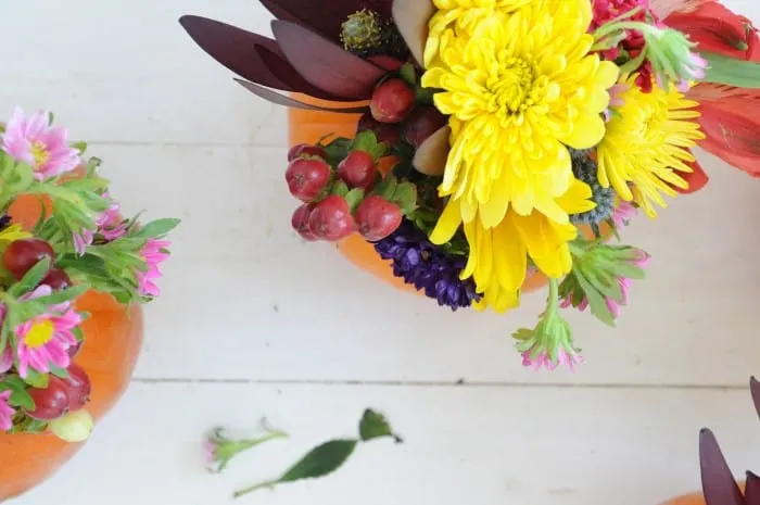 Looking down on some pumpkin vases with brightly colored flowers