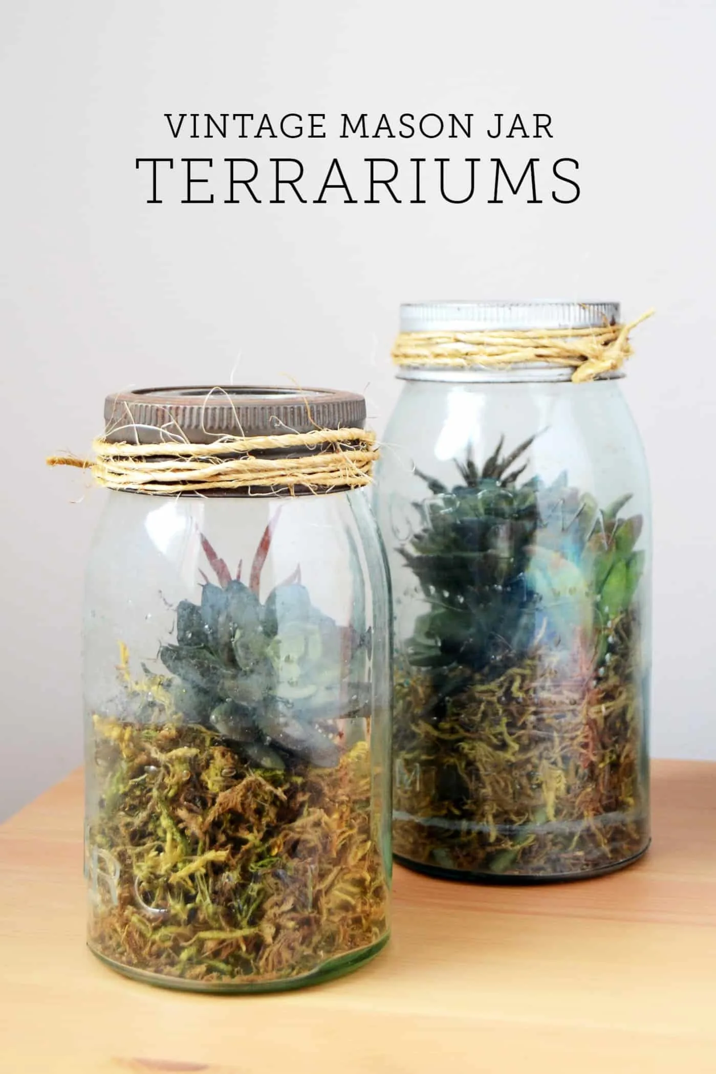 mason jar terrarium