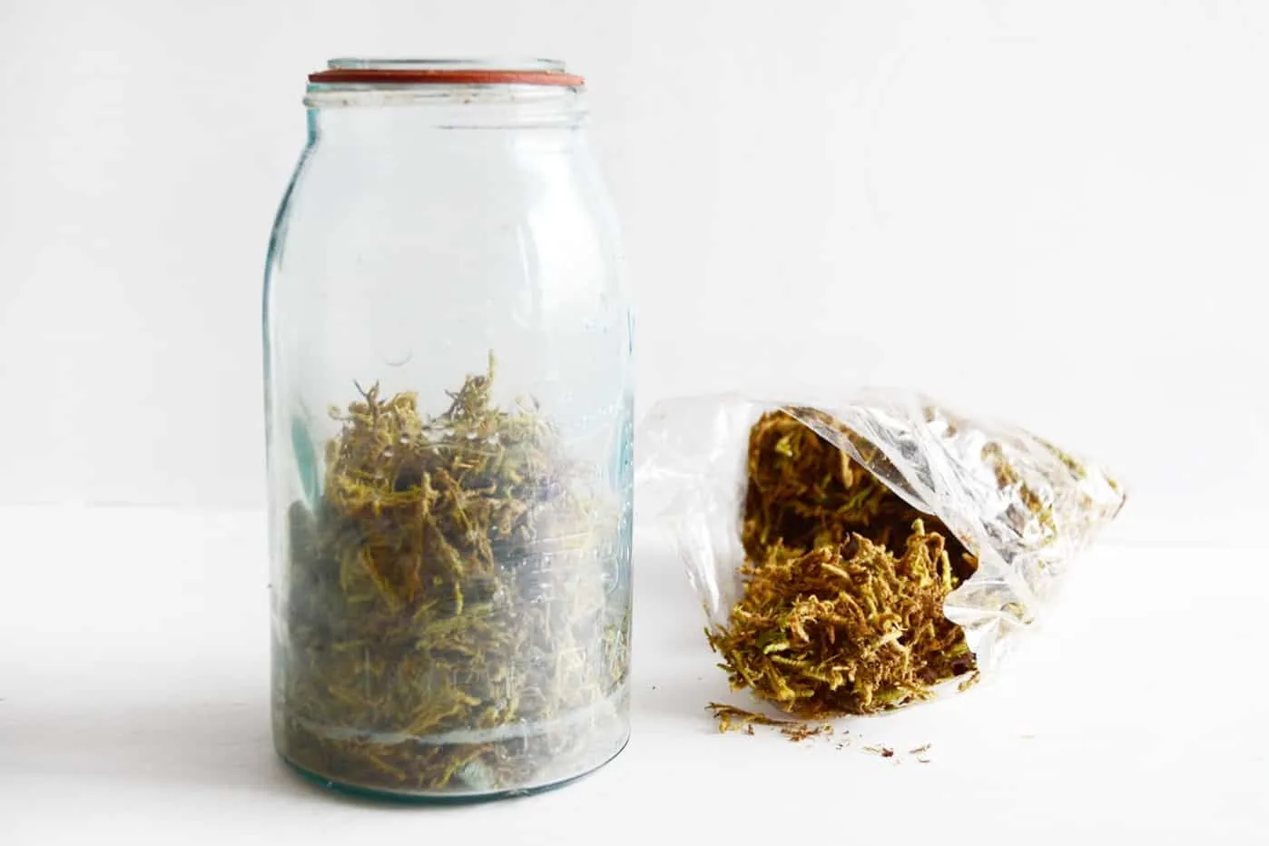 mason jar with spanish moss inside