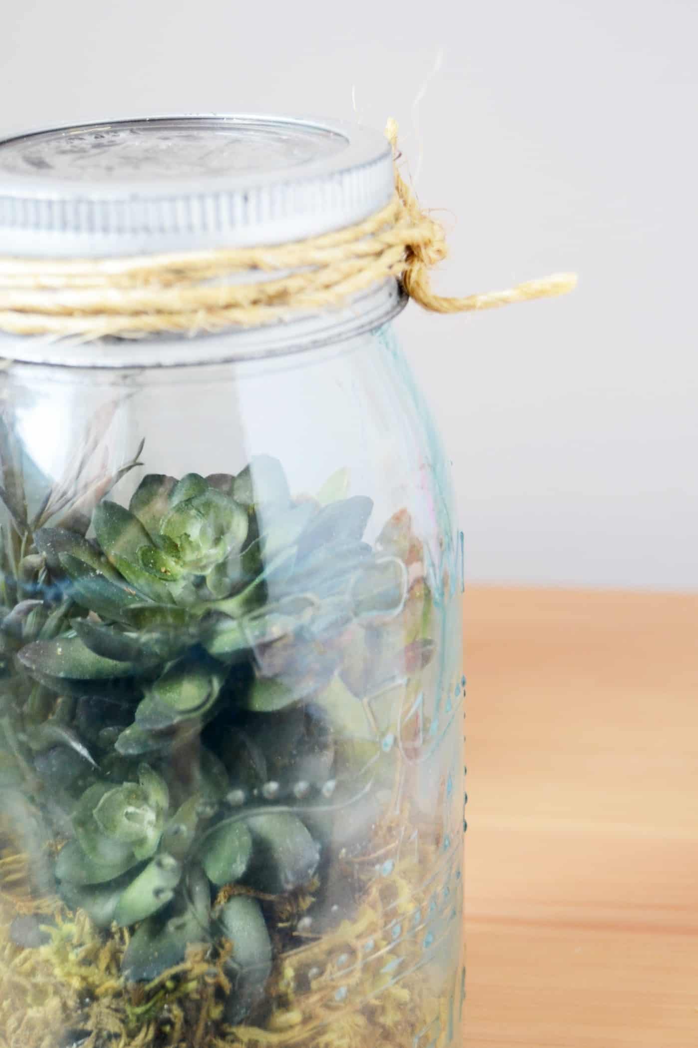 how to make a terrarium in a jar