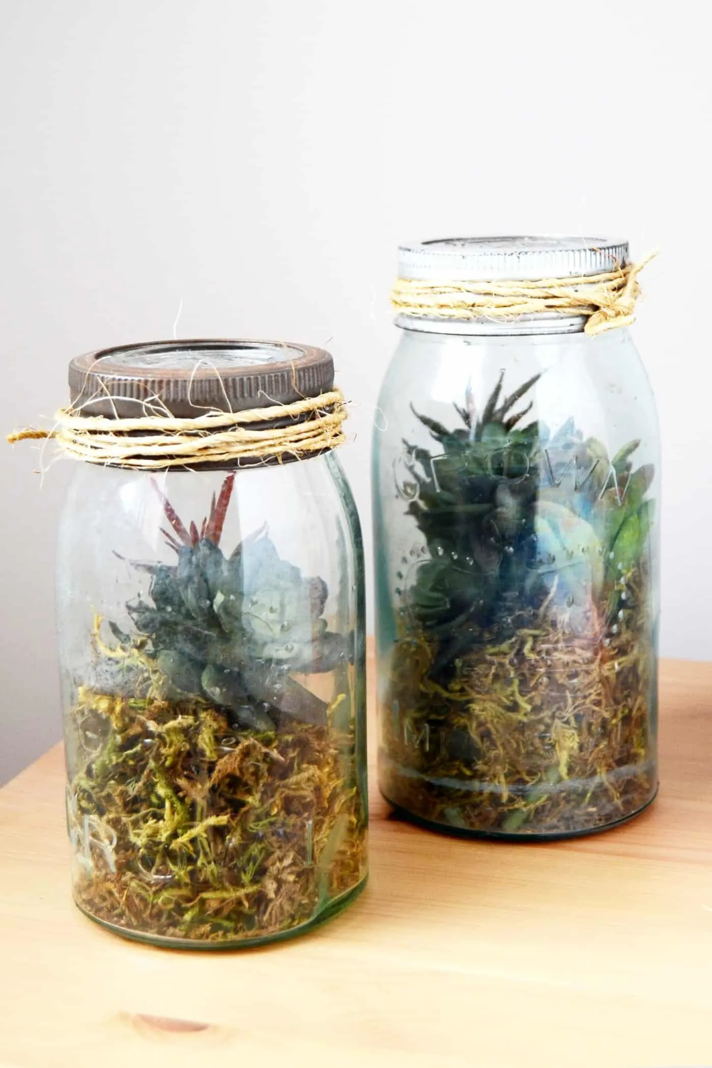 How to make a fake terrarium in a jar