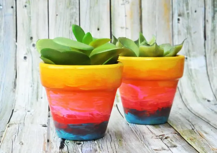 Rainbow Painted Flower Pots for Kids or Adults