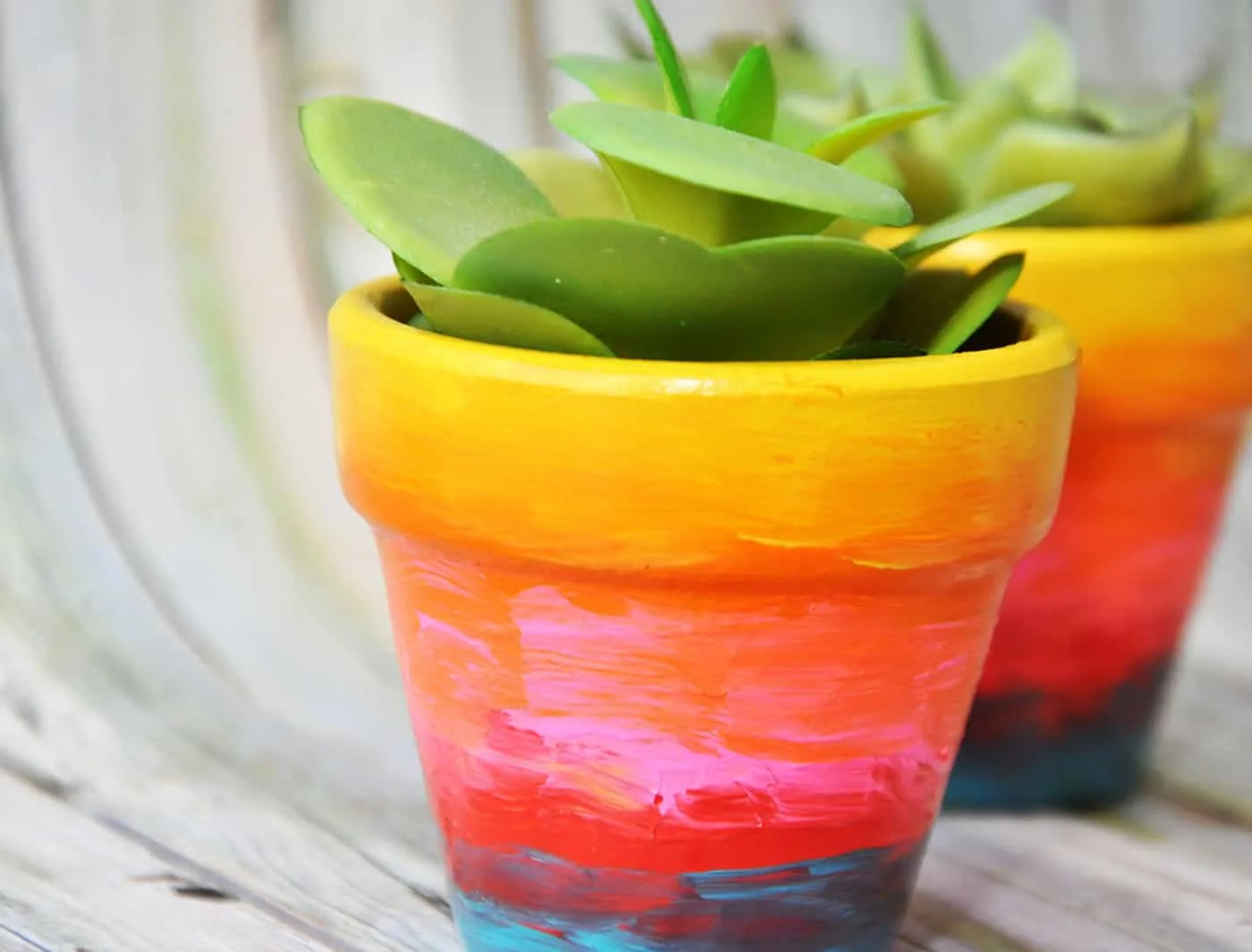 Painted rainbow plant pots