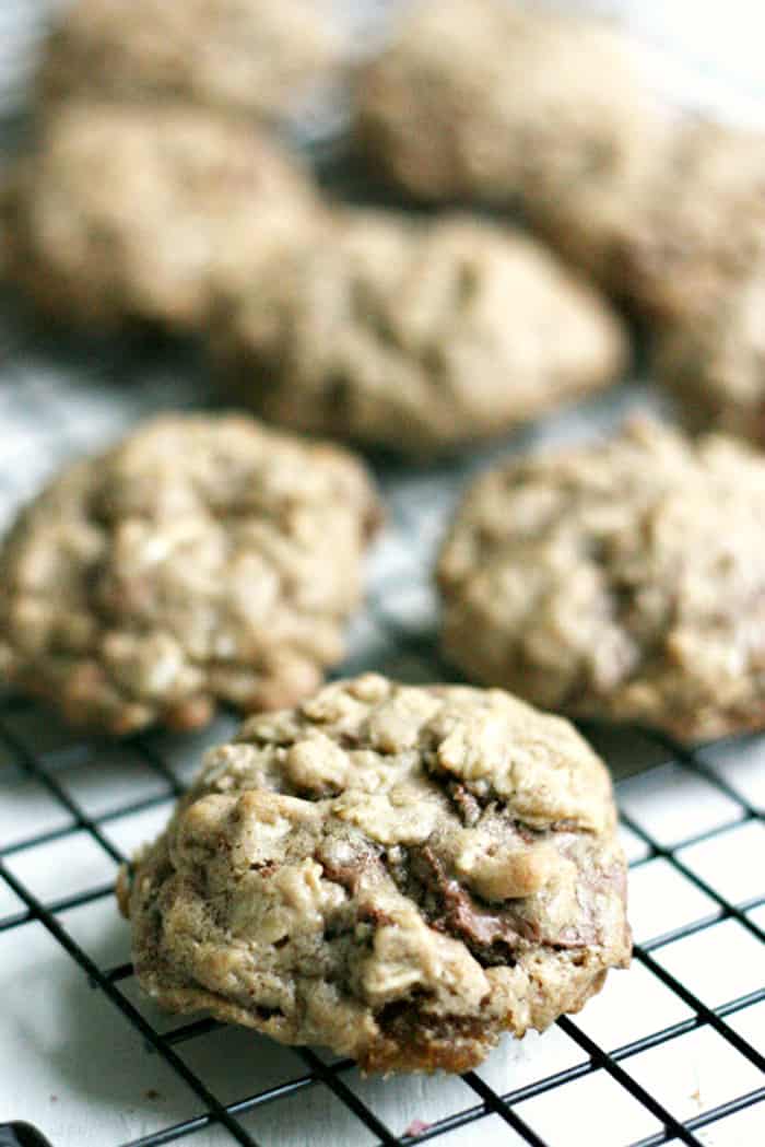 Chewy oatmeal chocolate chip cookies recipe