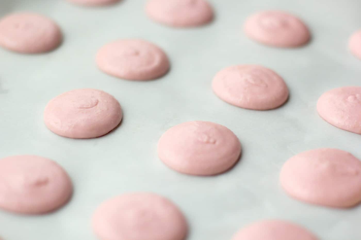 Dry macarons sitting on parchment paper
