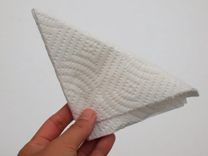Paper towel folded into a symmetrical design
