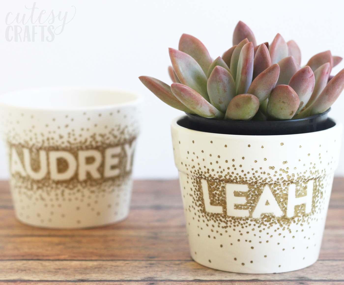 Personalized Flower Pot Craft in Three Easy Steps!