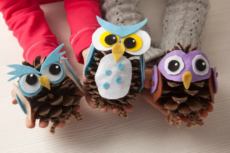 Cute owl pine cones for kids