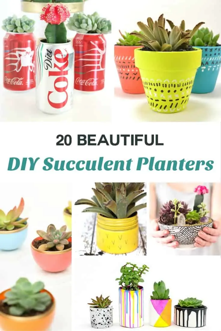 These Succulent Planters Kick Things Up A Notch Diy Candy