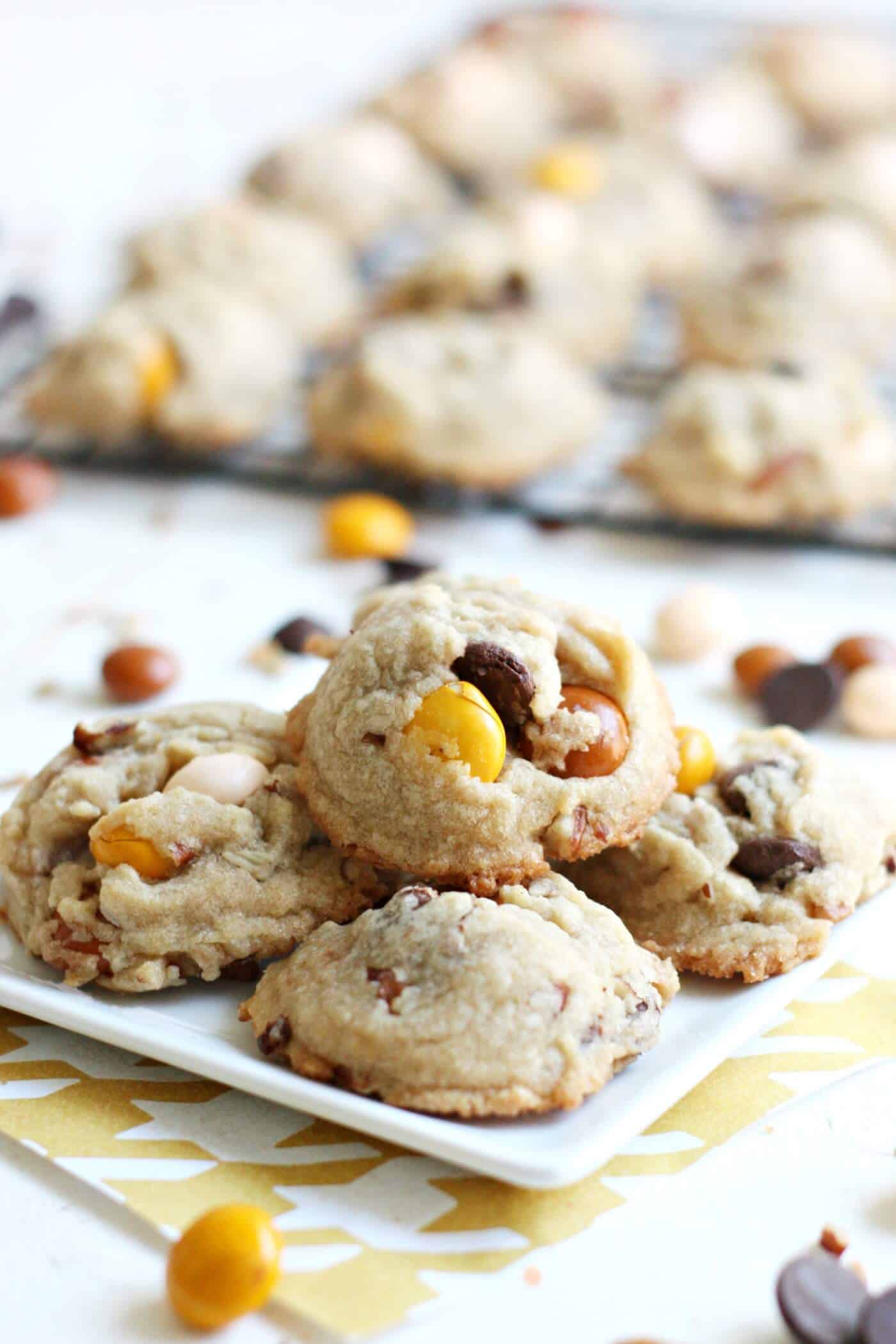 These delicious dark chocolate chip cookies include white chocolate butterscotch M&M's and yummy pecans. The perfect way to jazz up a plain cookie recipe!