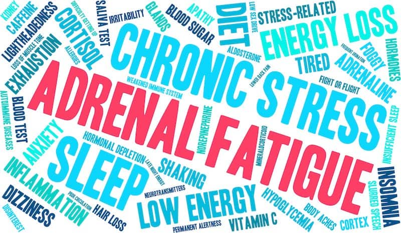 A story about my personal journey with adrenal fatigue. Learn how I figured it out and what I'm doing to treat it. You're not alone!