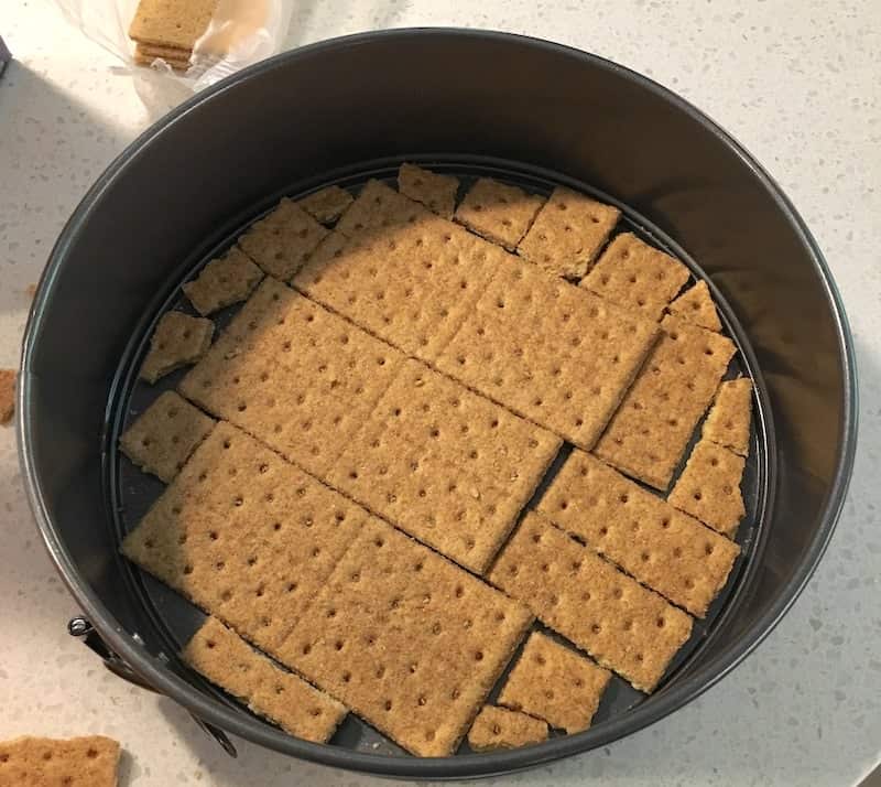 Graham crackers lining the bottom of a springform pan