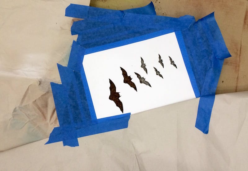 Small bats taped onto the mat