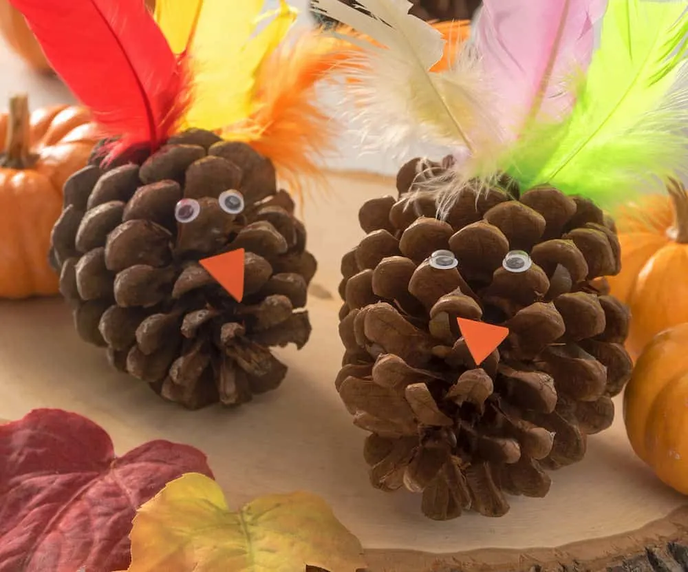 Turkey pinecone craft