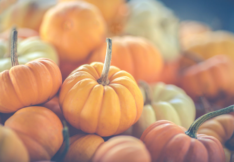 Mini pumpkins
