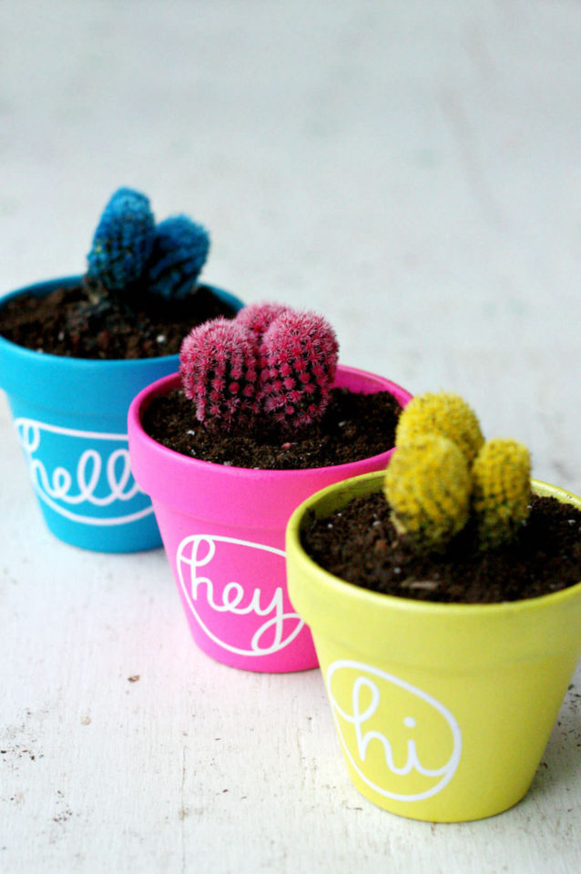 Cactus Pot Painting For Colorful Home Decor DIY Candy   Cactus Pot Painting For Colorful Home Decor 638x960 