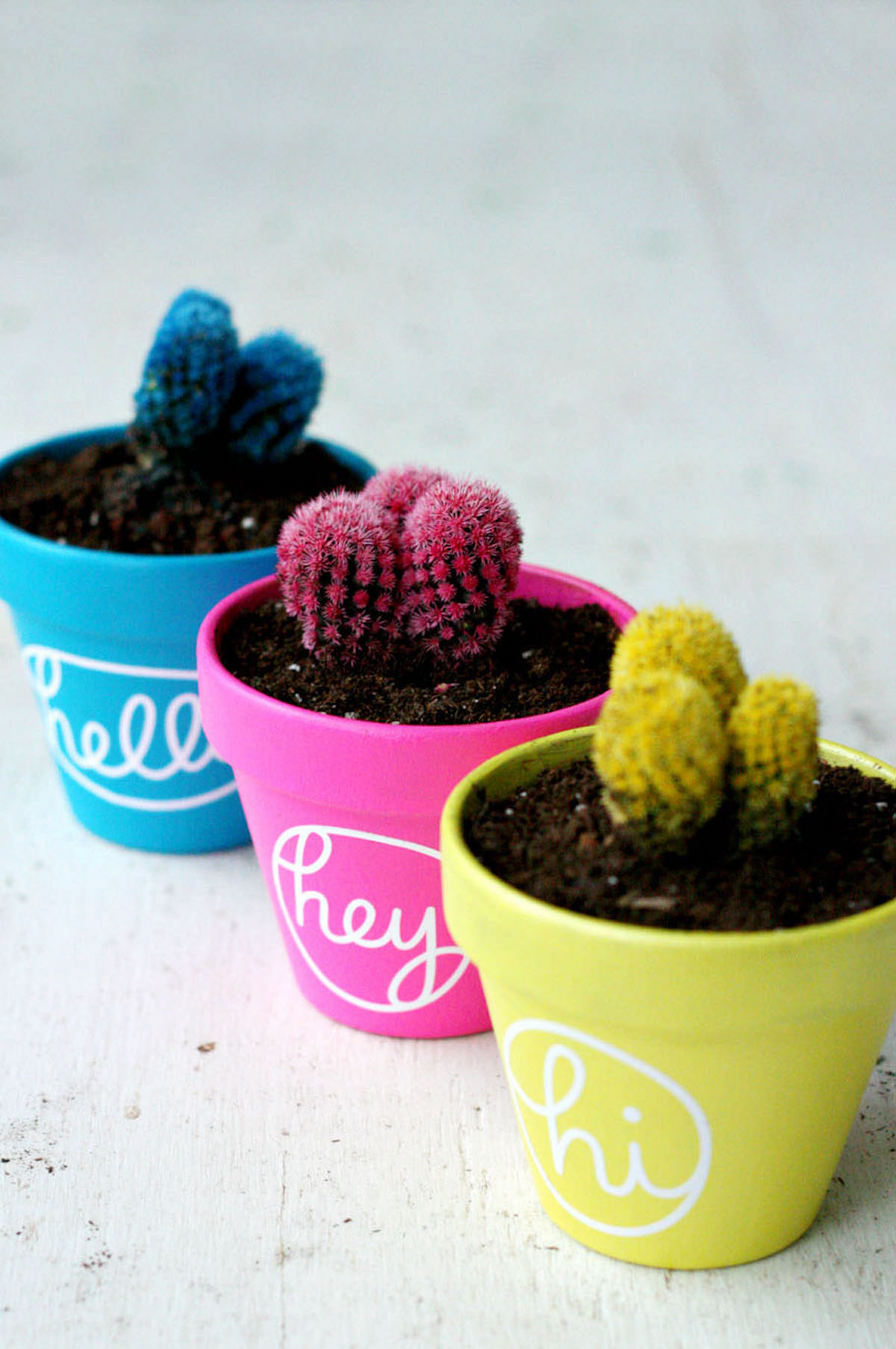 Cactus Pot Painting for Colorful Home Decor