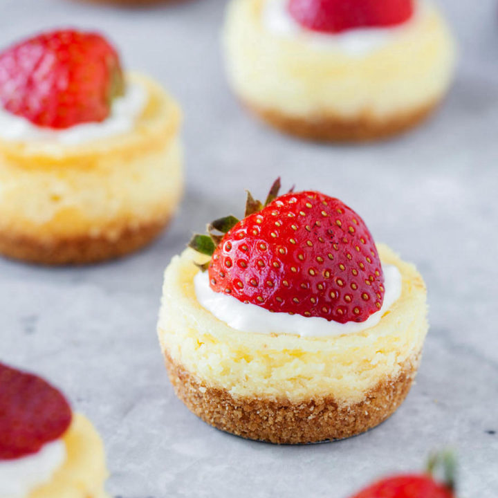 This Mini Cheesecake Recipe is Easy & Delicious - DIY Candy