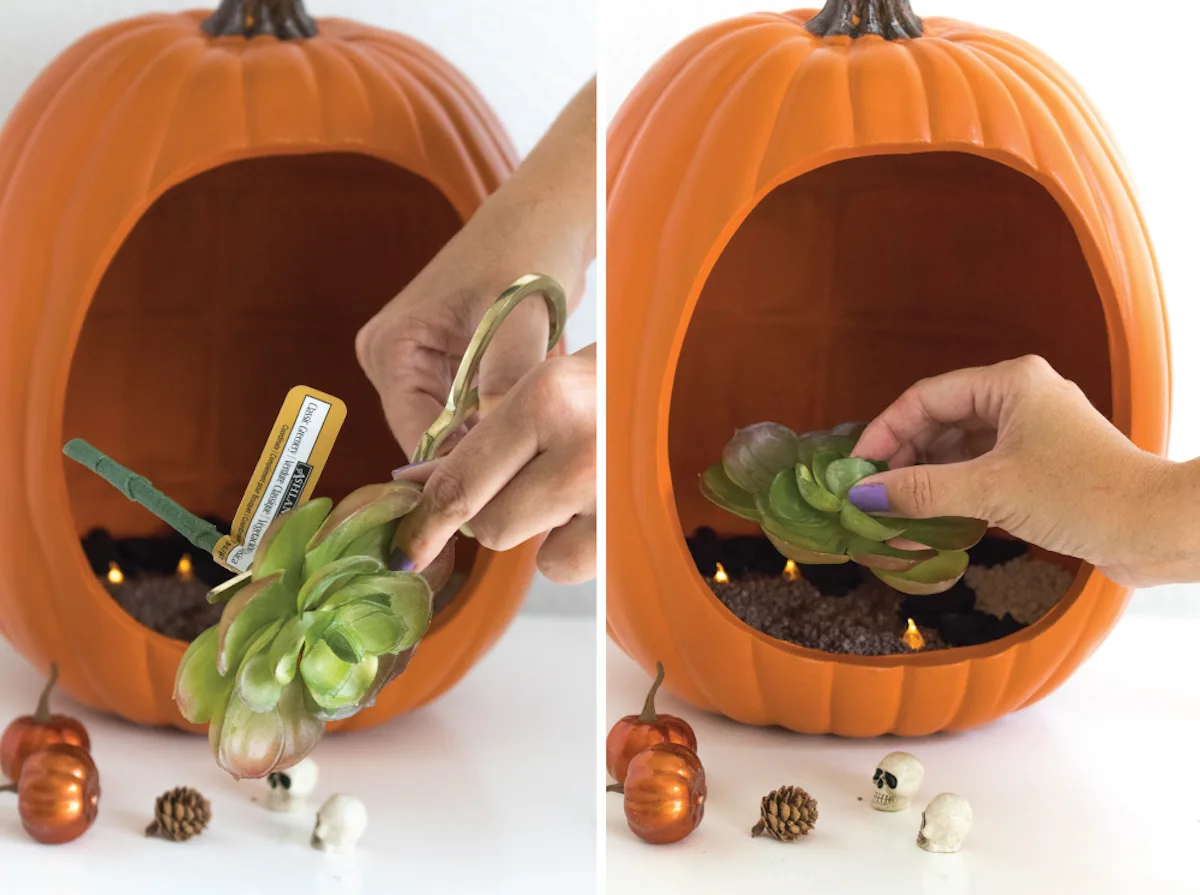 cutting off the stem of a faux succulent and adding it to the pumpkin