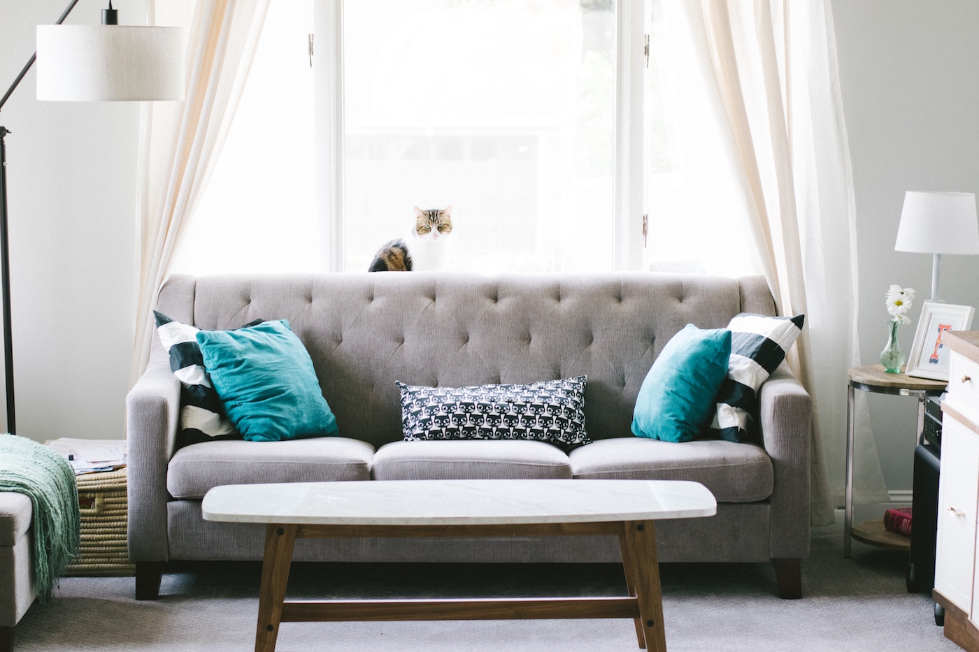 Living room with a gray couch and turquoise pillows