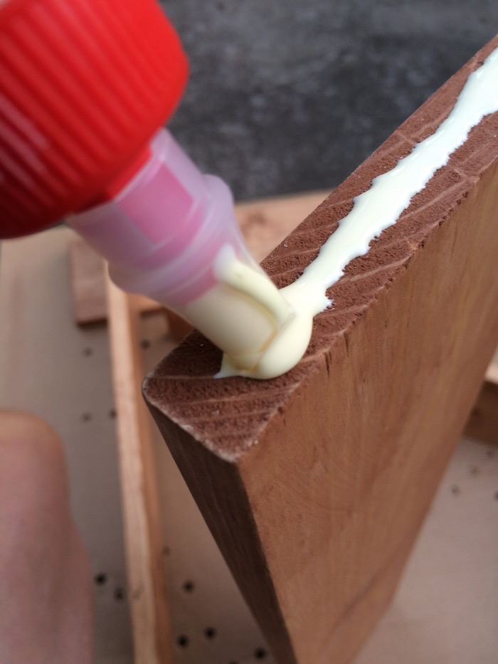 Adding wood glue to the end of a board