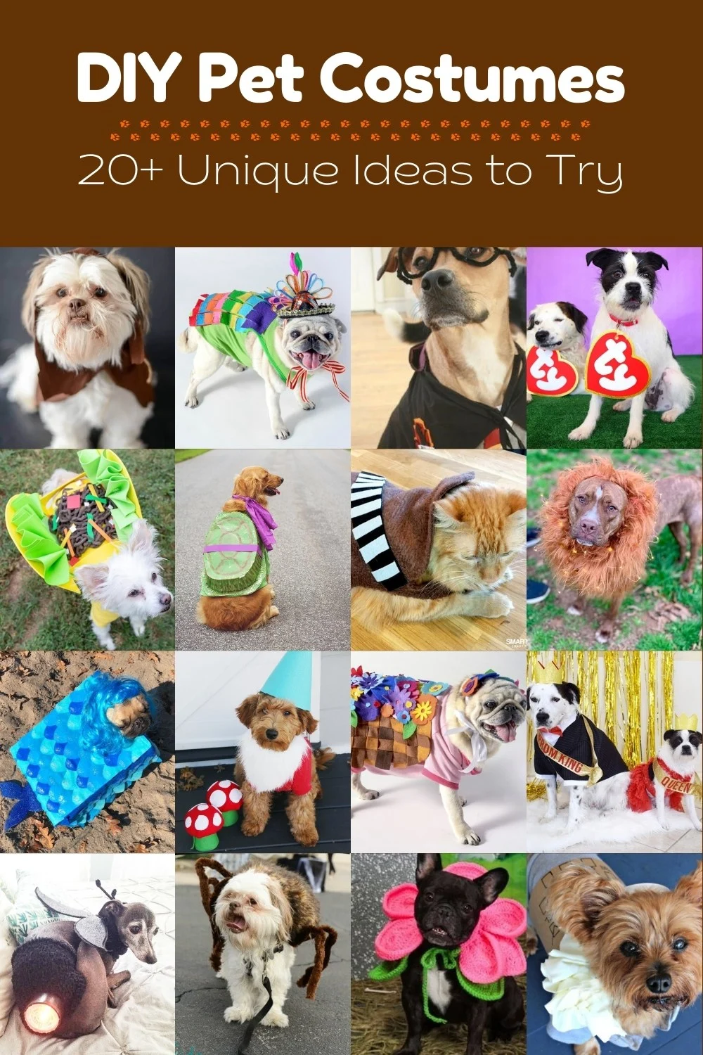 The Best Halloween Costumes for Dogs in 2022