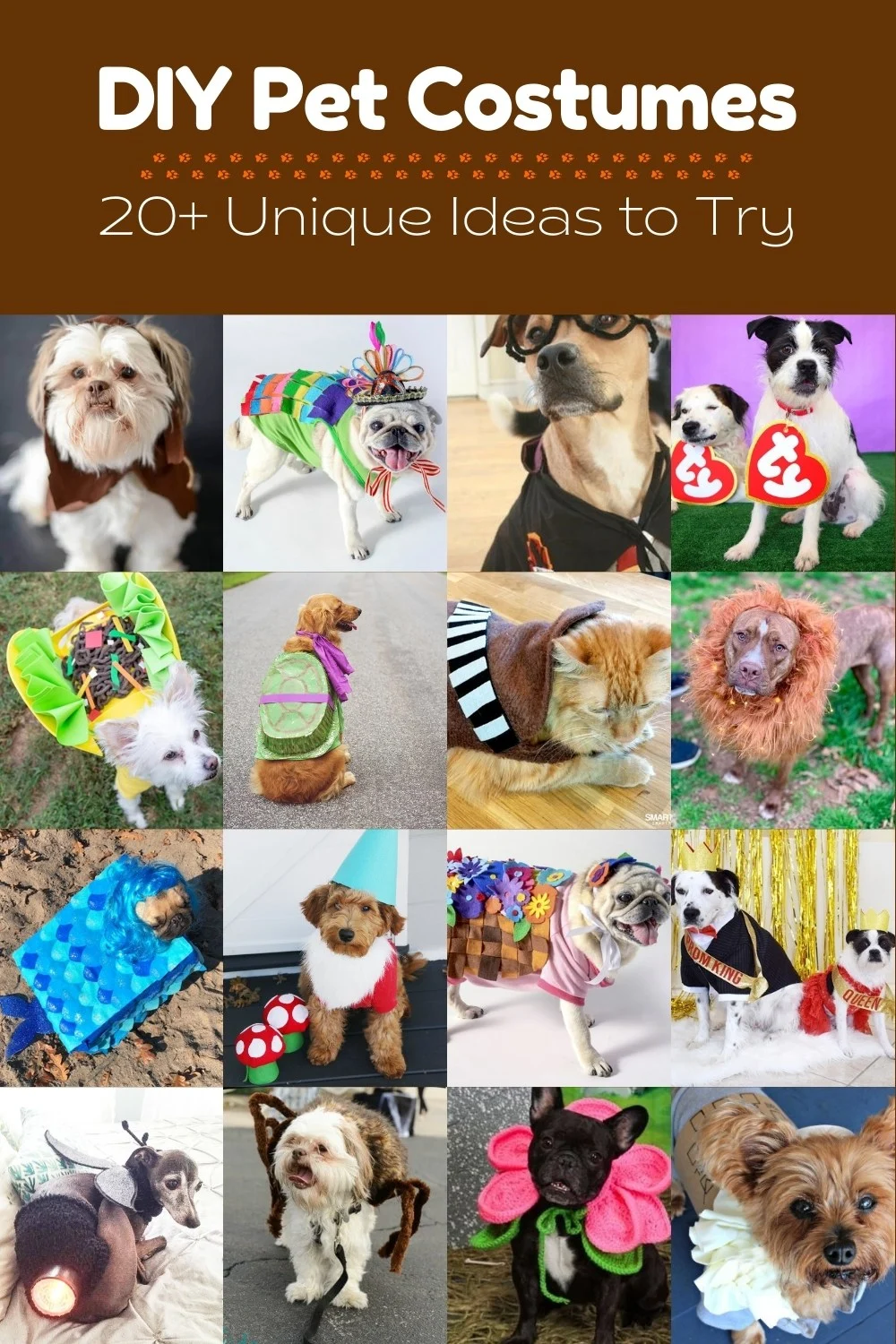 16 Easy DIY Dog Costume Ideas To Try This Halloween