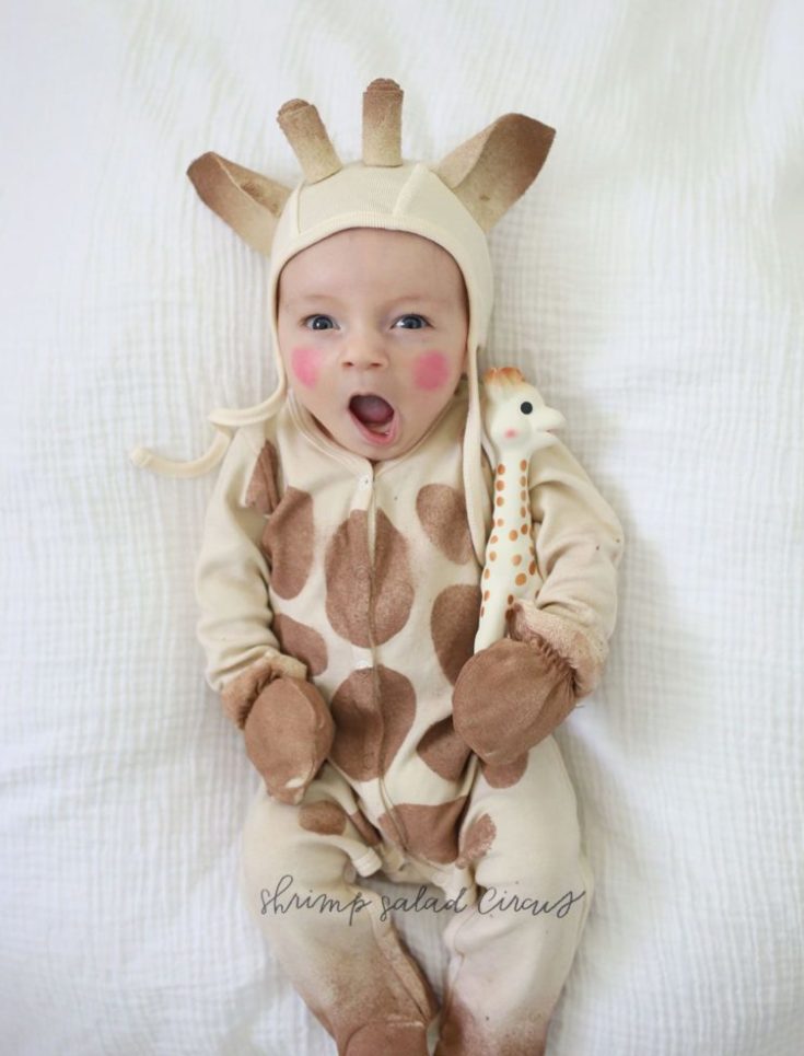 The 15 Best Halloween Baby Costumes - Moneywise Moms - Easy Family