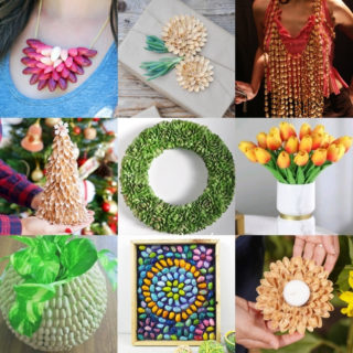 Crafts with Pista Shells
