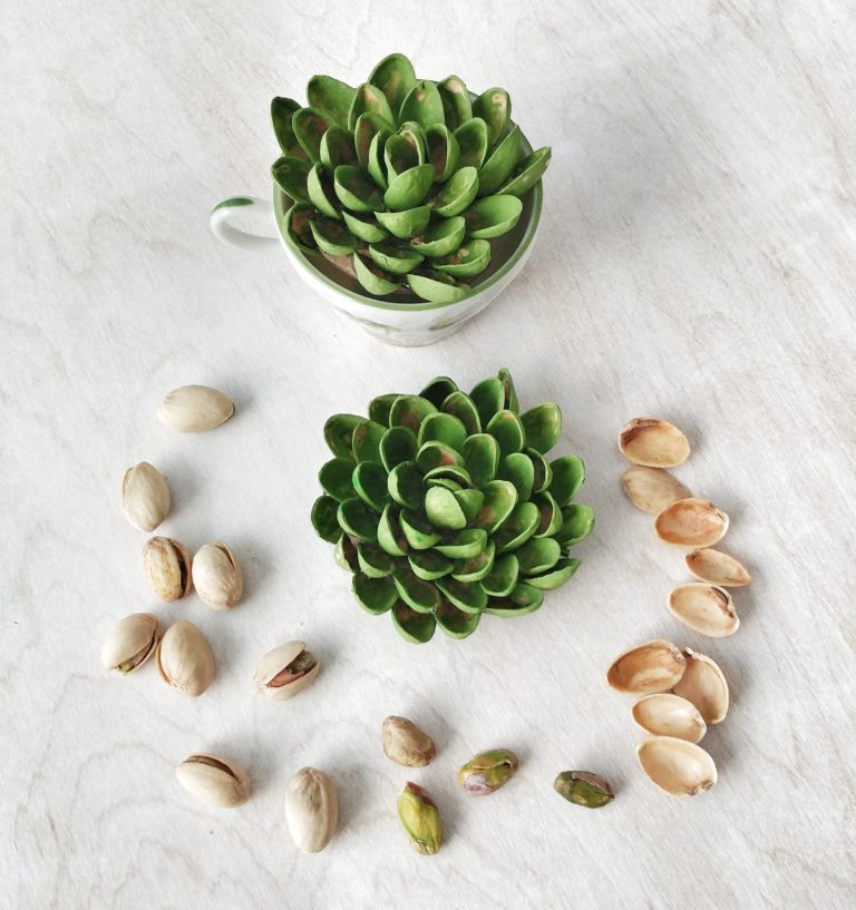 Crafts With Pista Shells That Will Amaze You DIY Candy