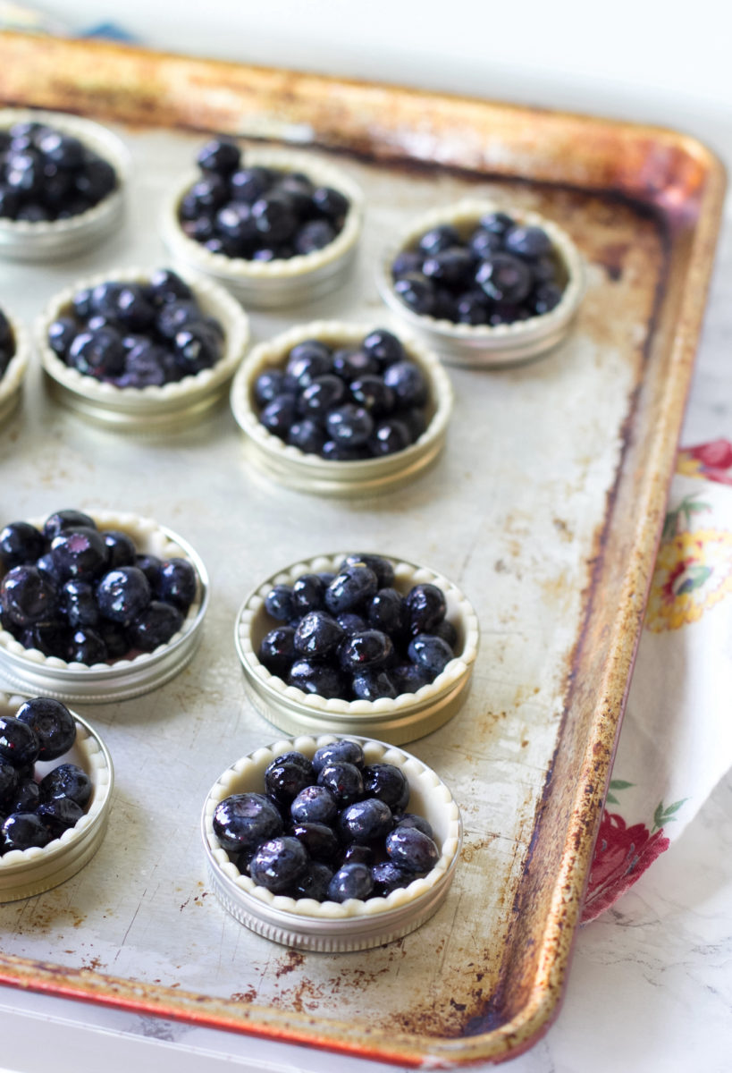 Blueberry Crisp Recipe (Individual Dessert Bites!) - DIY Candy