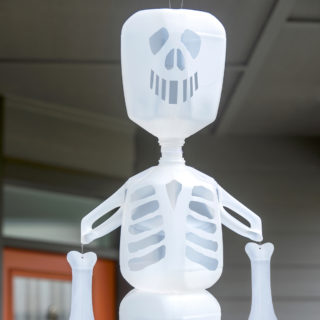 Milk jug skeleton feature image