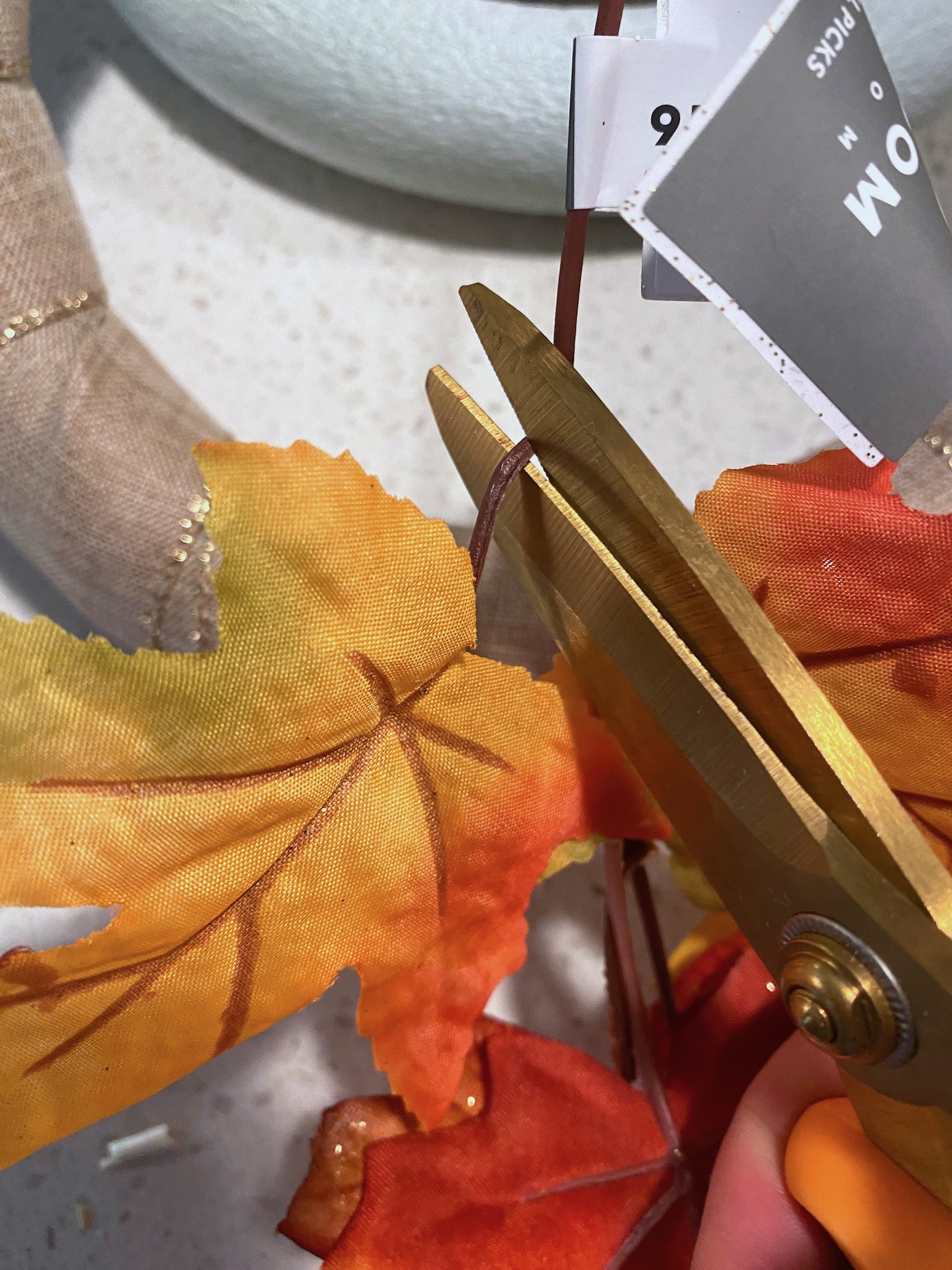 Cutting the ends off leaves with scissors