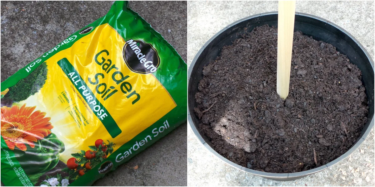 Miracle Gro garden soil placed into a planter