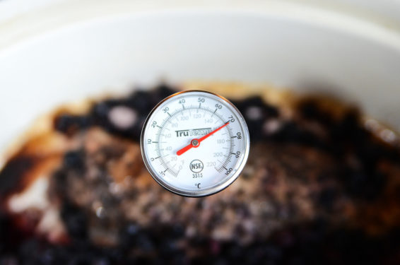 Meat thermometer in the pork loin