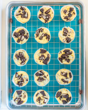 Baked Oreo cheesecake bites in liners