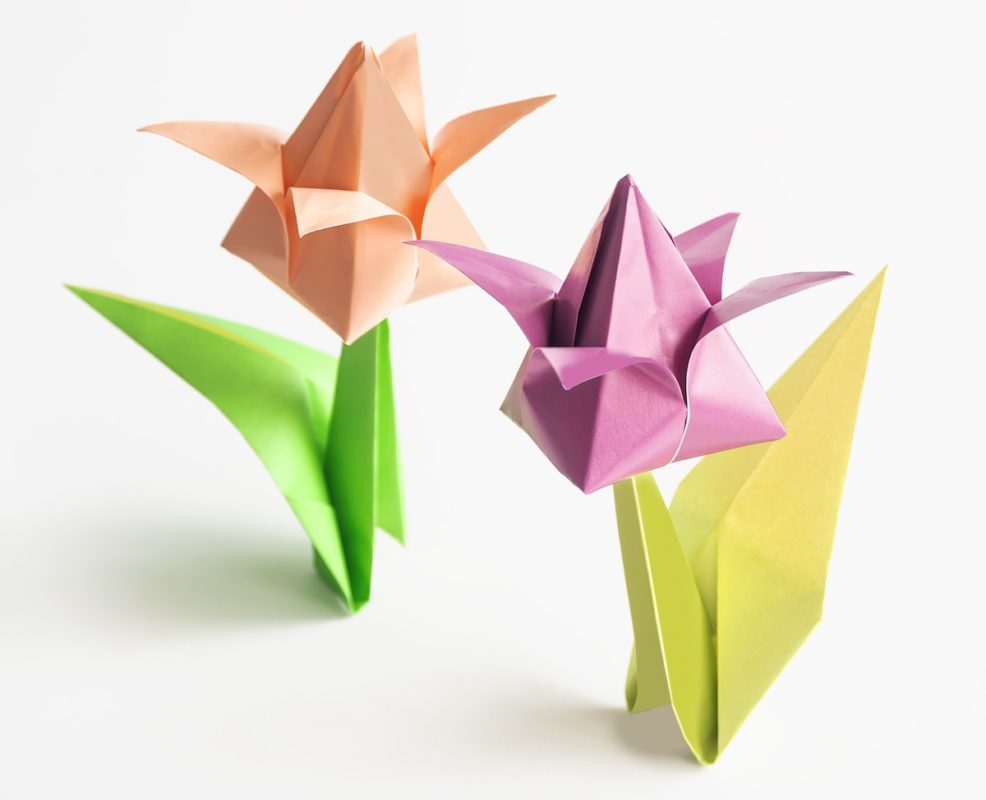 two origami tulips
