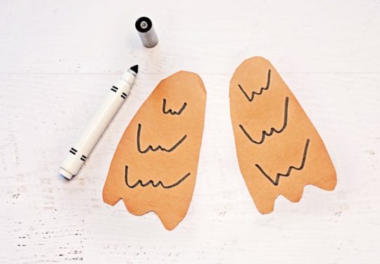 Drawing Feathers on Wings