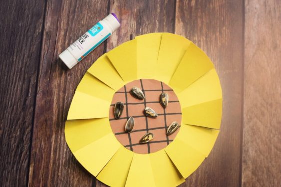 Gluing Sunflower Seeds